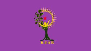 kjar-calls-for-participation-in-actions-to-be-held-in-europe-on-anniversary-of-jina-amini’s-death