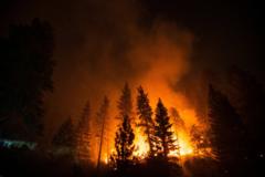 california-fire-agency-worker-faces-arson-charges