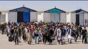 iran-builds-a-10-km-wall-on-its-border-to-prevent-afghan-migrants