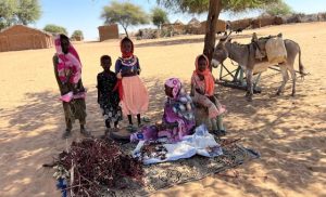 catastrophic-hunger-doubles-in-2024;-gaza-and-sudan-worst-hit