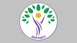 dem-party-calls-for-immediate-halt-to-turkish-air-strikes-on-northern-and-eastern-syria