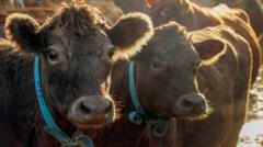 green-farming-budget-freeze-‘will-hit-nature-and-wildlife-work’