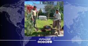 al-sulaimaniyah-launches-new-tree-planting-campaign-to-expand-green-spaces-–-shafaq-news