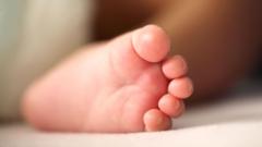 delhi-high-court:-‘our-son-died.-now-we-can-use-his-sperm-to-have-a-grandchild’