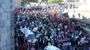 dem-party-co-chair:-we-will-increase-our-struggle-until-the-trustees-are-removed-from-these-lands