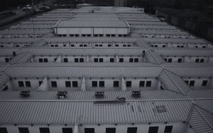 prisoner-subjected-to-experiments-by-muazzez-ilmiye-cig’s-foundation:-‘it-was-like-mengele’s-work’