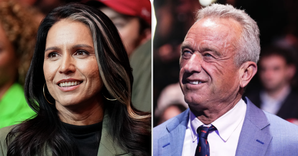 nikki-haley-criticizes-trump-cabinet-picks-tulsi-gabbard,-robert-f-kennedy-jr.