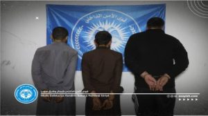 internal-security-forces-capture-three-armed-individuals