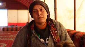 sirin-ibis:-we-will-resist-and-win!