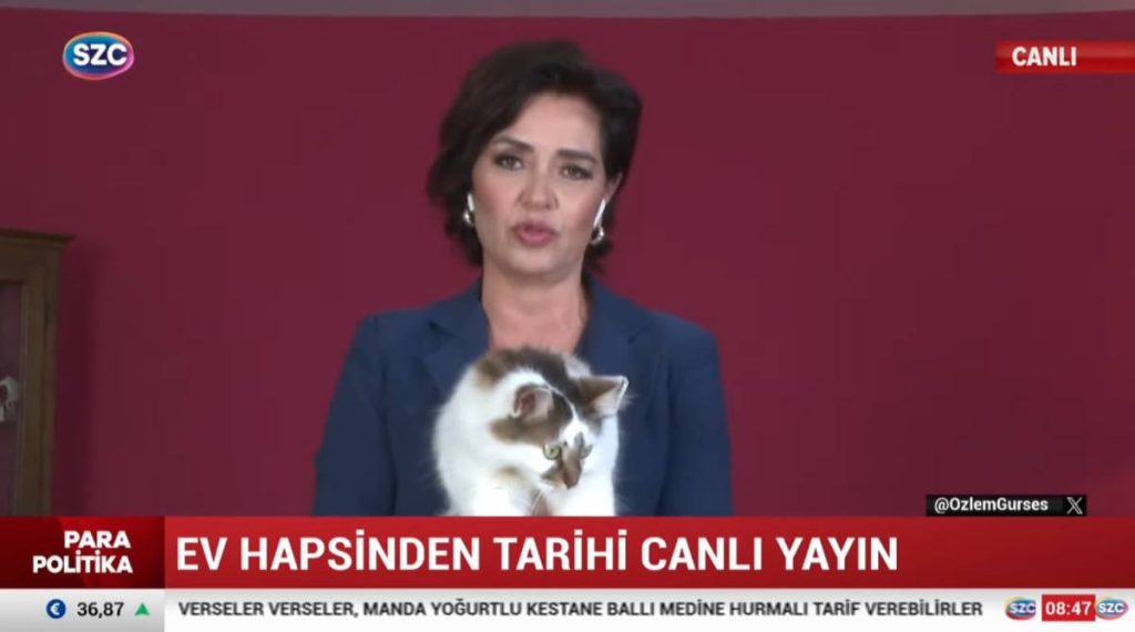 tv-anchor-ozlem-gurses-released-from-house-arrest-after-52-days
