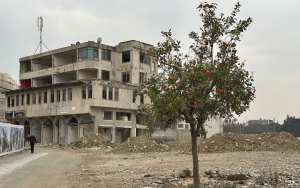 hatay-after-earthquakes:-changing-priorities-and-problems