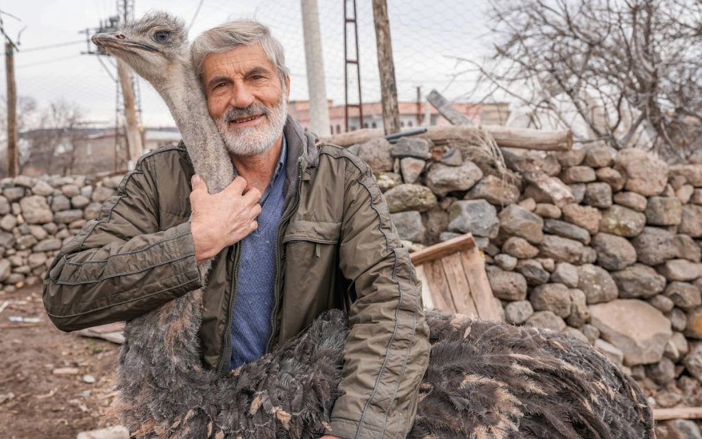 ostrich-given-as-gift-escapes,-finds-way-back-home-in-diyarbakir