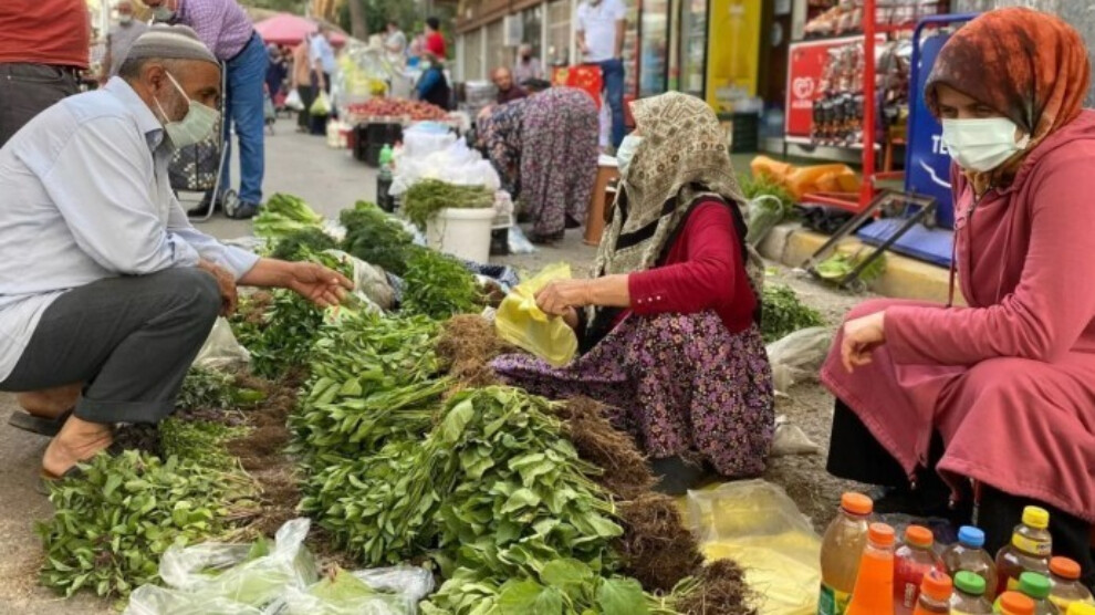 turk-is:-hunger-threshold-in-turkey-surpasses-minimum-wage
