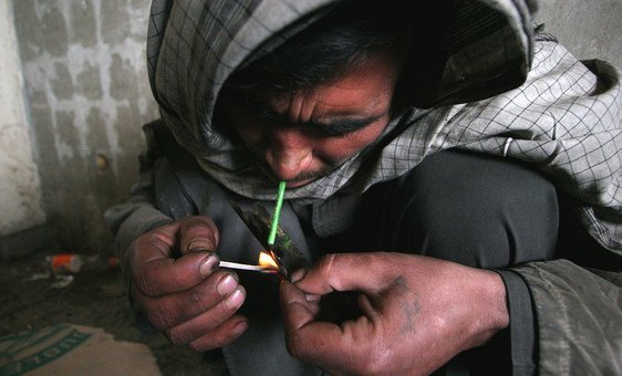 afghanistan:-opium-prices-approach-historic-peaks,-crime-syndicates-benefit