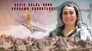 hpg:-a-turkish-ucav-was-shot-down-in-qandil