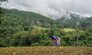 northern-thai-communities-put-nature-before-profit