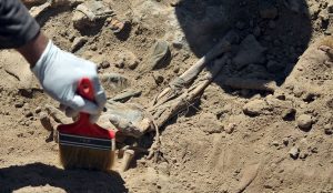 kirkuk-mass-grave-unearthed:-kurdish-victims-suspected-–-shafaq-news