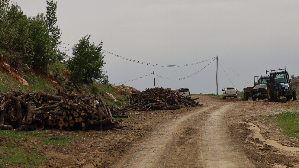 village-guards-cut-dow-trees-in-sirnak-countryside-under-the-supervision-of-the-turkish-army