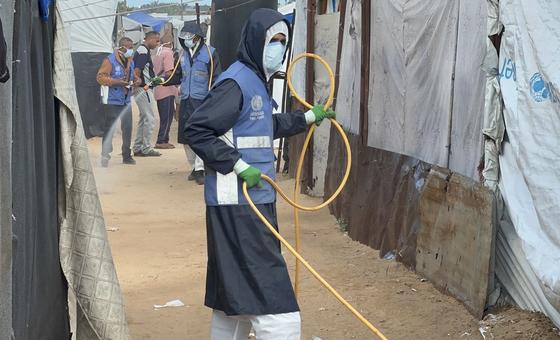 plague-of-rats-and-insects-provide-latest-challenge-for-war-shattered-gazans