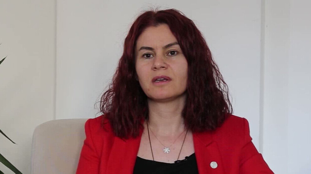 mp-sayyigit:-the-conference-in-qamishlo-is-not-about-division,-but-rather-about-coexistence