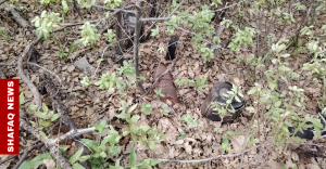 dozens-of-explosives-neutralized-in-northern-duhok-district-–-shafaq-news
