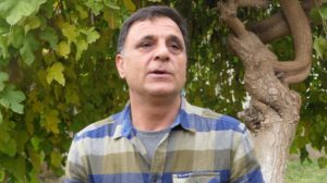 yanlic:-we-are-just-as-opposed-to-solar-plant-projects-as-we-are-to-dams