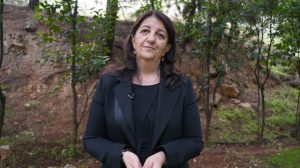 pervin-buldan:-now-everyone-must-focus-on-peace