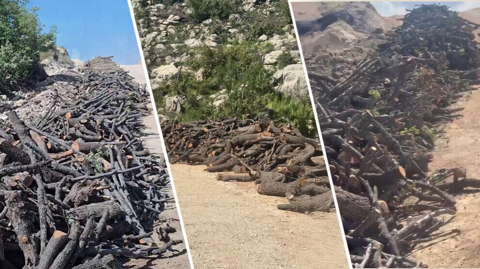 entry-banned-to-13-areas-in-sirnak-as-deforestation-continues