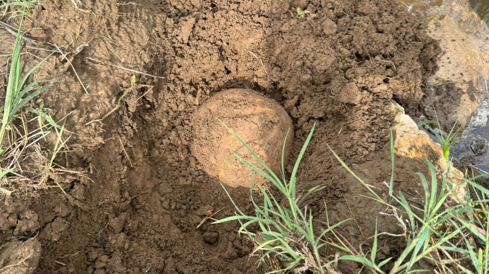 bones-believed-to-belong-to-humans-found-in-lice