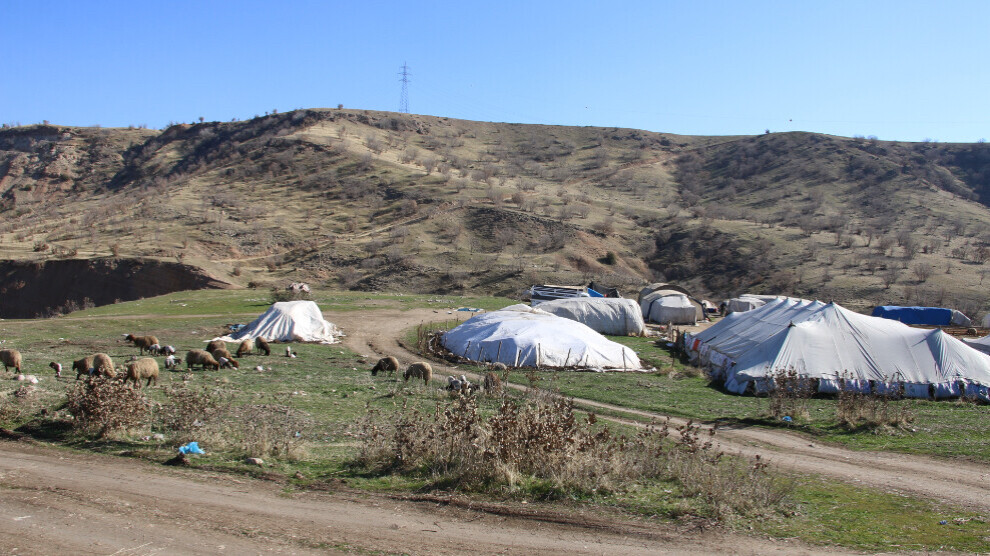 authorities-deny-nomadic-shepherds-access-to-high-pastures-in-ardahan