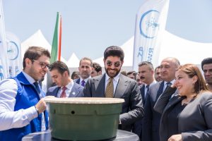 rwanga-plants-20,000-olive-trees-in-erbil-green-push-–-shafaq-news