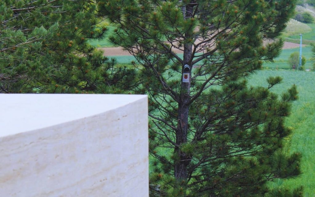 why-do-states-assert-control-over-the-dead?