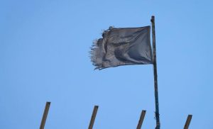 number-of-aid-workers-killed-in-gaza-conflict,-highest-in-un-history:-guterres