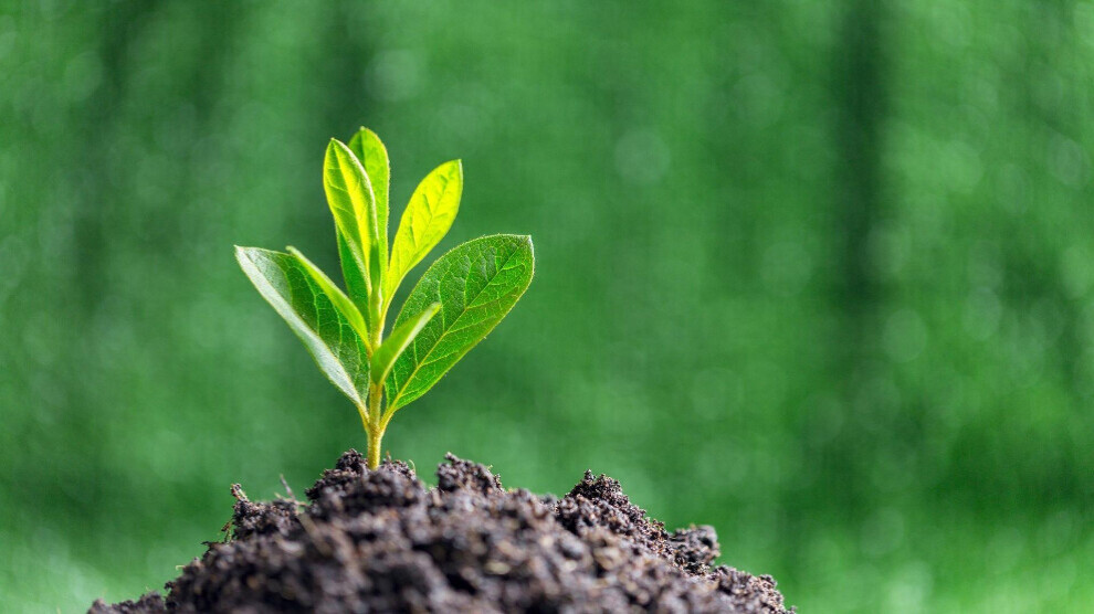 dem-party:-we-will-defend-nature-against-climate-destruction-and-ecocide