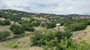 protests-against-planned-mining-in-dersim:-a-deliberate-intervention-in-the-collective-memory