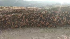 new-images-of-ecological-destruction-on-mount-gabar