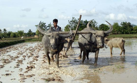 landless-and-locked-out:-young-farmers-struggle-for-a-future