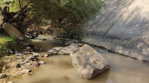 turkey’s-dams-cause-the-afrin-river-to-dry-up