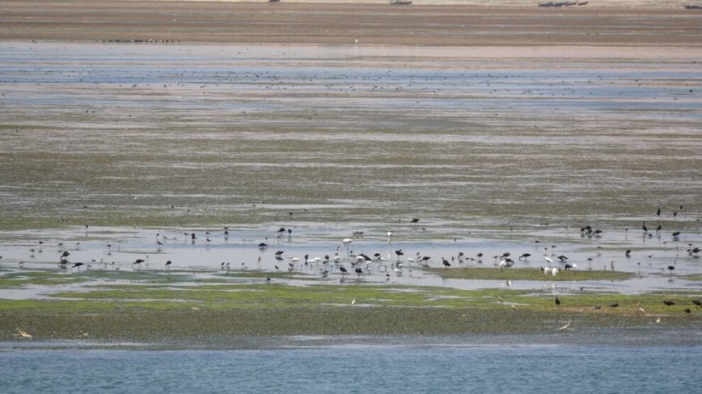 euphrates-river’s-water-draining:-drought-risk-increasing