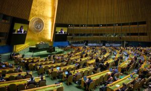 un80-initiative-should-be-‘inclusive-and-transparent’,-recognises-general-assembly