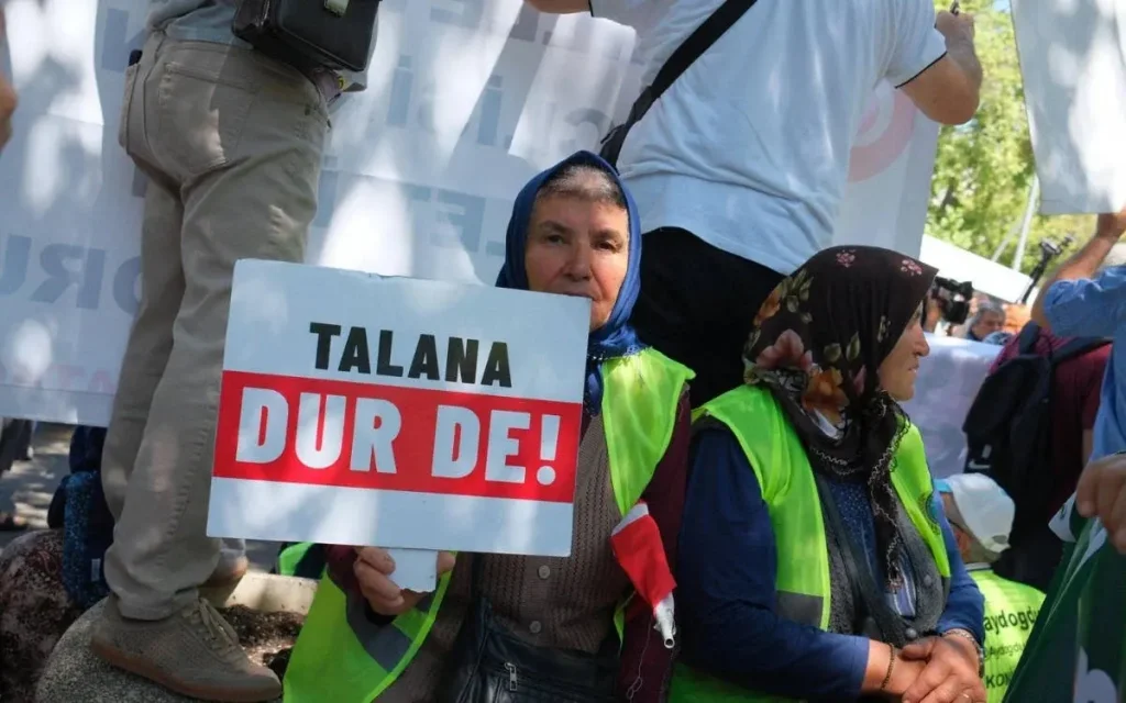 open-letter-to-treasury-and-finance-minister-mehmet-simsek