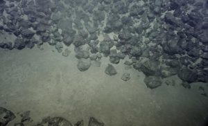 deep-sea-must-not-turn-into-‘wild-west’-of-rare-minerals-exploitation,-agency-head-says