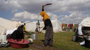 kurdish-nomads-fight-drought-and-economic-crisis