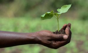 slight-decrease-in-global-hunger-as-inequalities-widen,-un-report-reveals