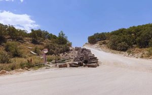 court-case-reveals-security,-oil-driven-deforestation-in-sirnak