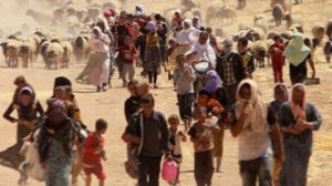 eleven-years-ago-the-yazidi-genocide-in-shengal