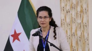 ilham-ehmed:-we-do-not-accept-a-return-to-the-old-baathist-system