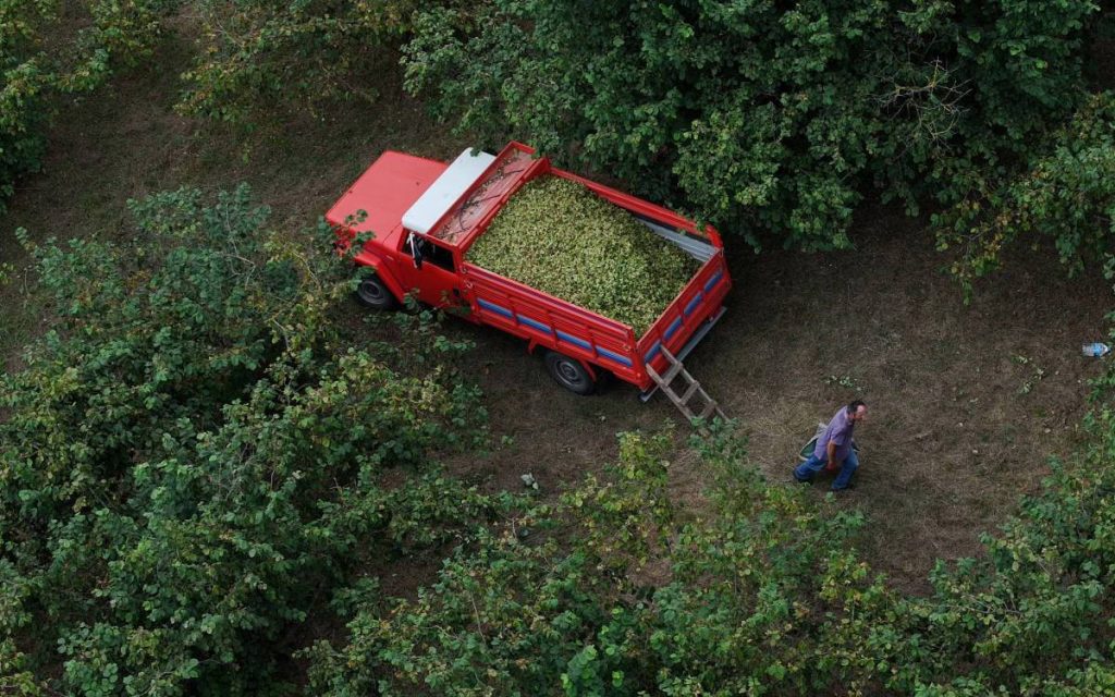 only-14,000-registered-agricultural-workers-remain-in-turkey,-mp-warns