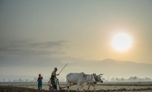 landlocked-nations-‘invisible-to-much-of-the-world’:-un-trade-and-development-chief