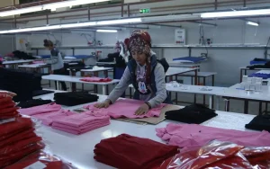 university-graduates-face-unemployment,-low-wages,-and-work-outside-their-field